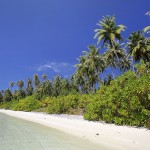 Perfect beach on the north side of Wunga Island lagoon.