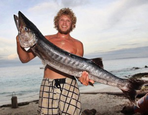 Monster Barracuda caught off Asu Island. Photo courtesy of www.puriasuresort.com