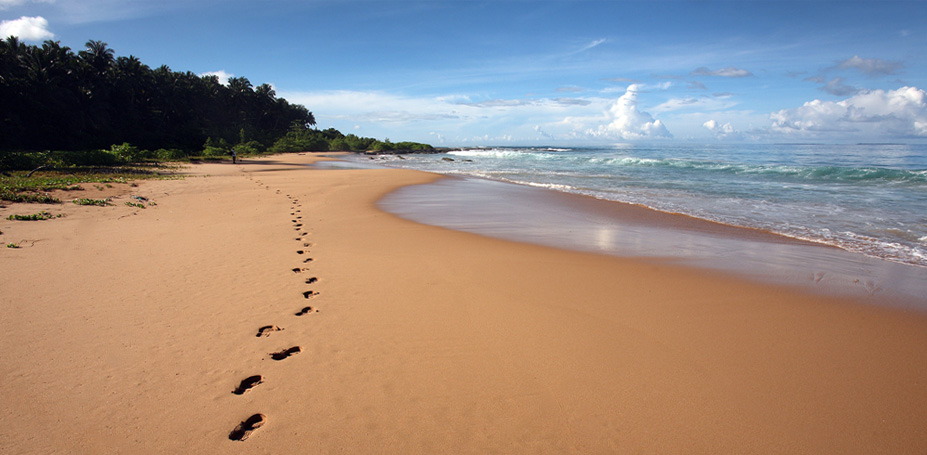 Wild beaches along the west-coast of North Nias Regency.