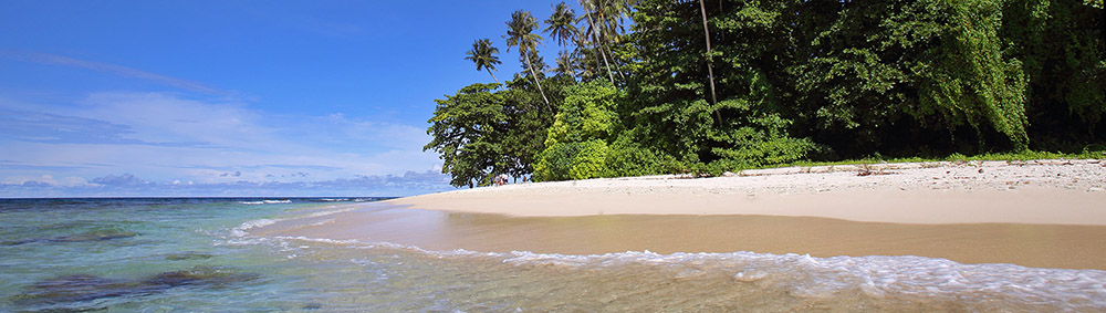 Pulau-musi-nias