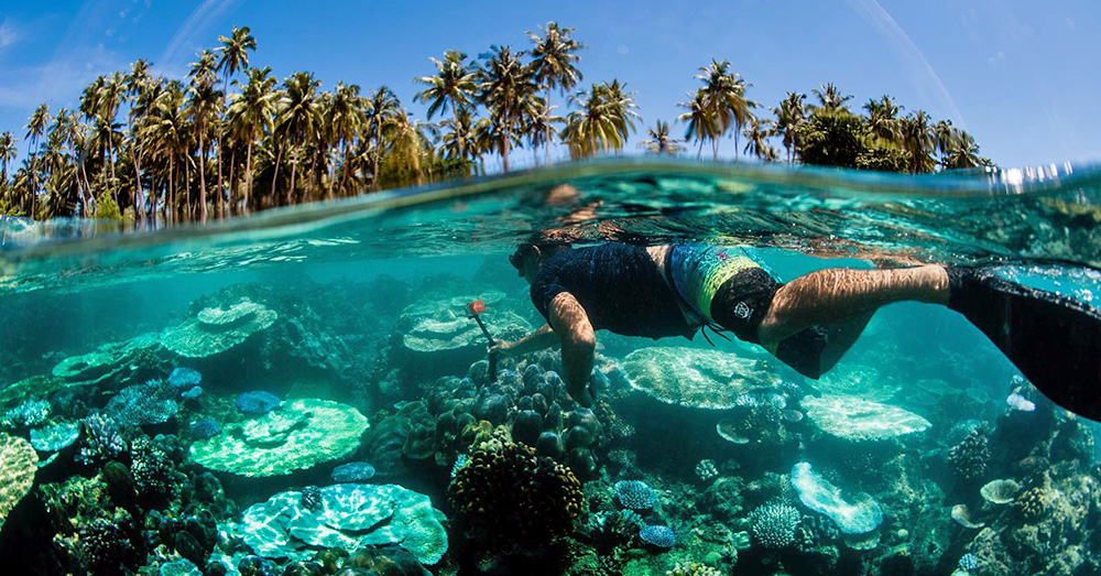 Snorkeling on Asu Island. Photo courtesy of www.puriasuresort.com