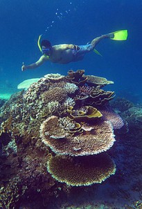 Snorkelling at Luluang Beach, Telos. Photo courtesy of Telloku.