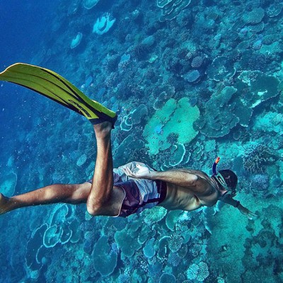 Freediving at Asu Island. Some of the best coral reefs can be found in the Hinakos. Photo courtesy of www.puriasuresort.com