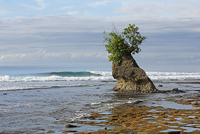 South-nias-coast-w